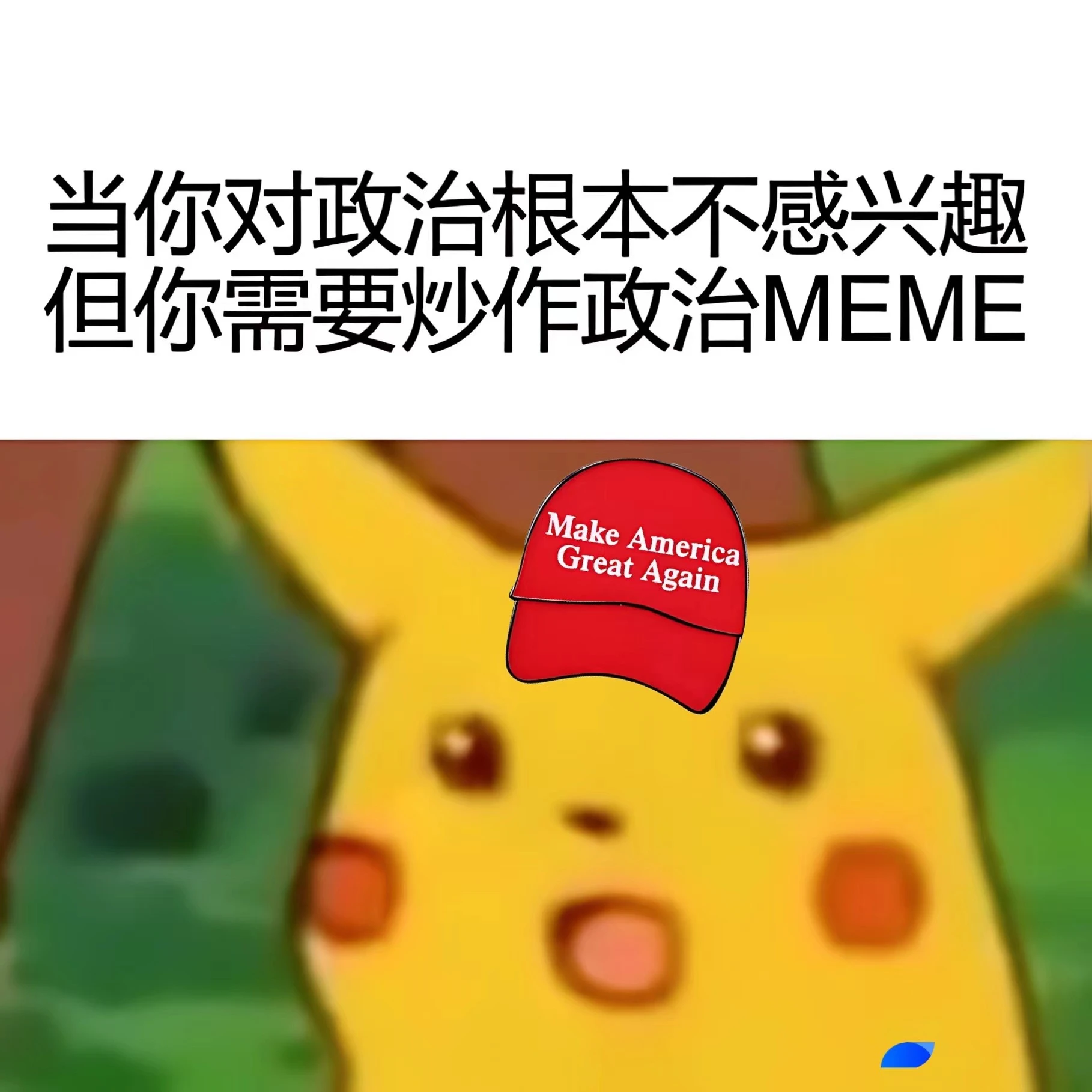 盘点美国大选期间值得关注的MEME币